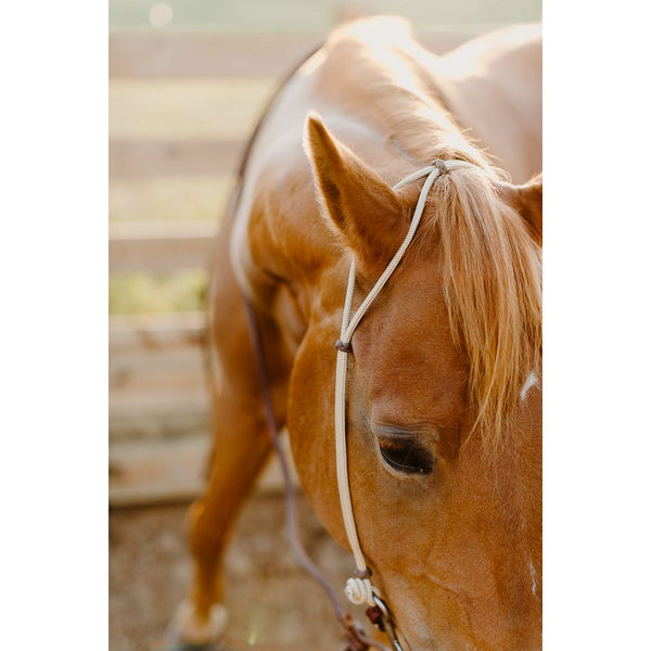 Hand Tied Rope Headstall