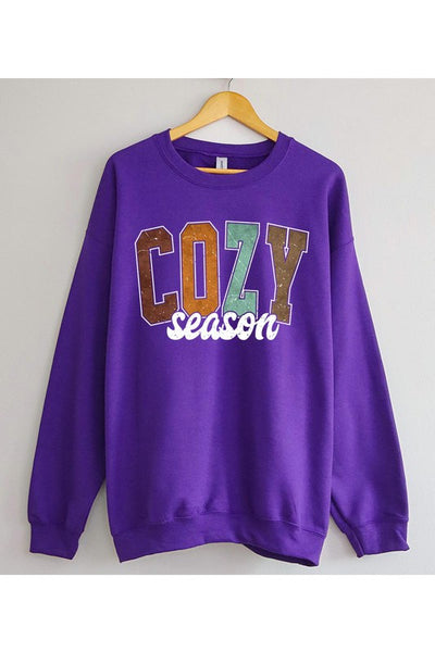 Cozy Season Sweatshirt~ Multiple Colors
