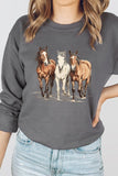 Three Horses Western Graphic Sweatshirt